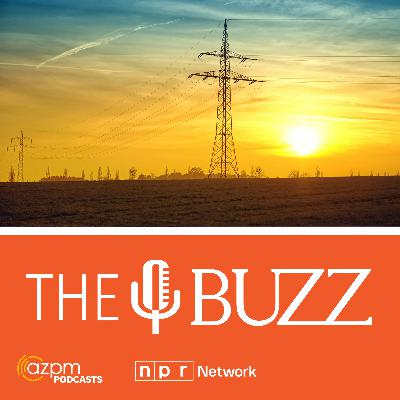 Comparing public and private-owned utilities Comparing public and private-owned utilities