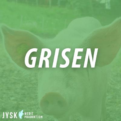 Grisen 2025 - E41: SizeMatters og fremtidens hjemmeblanding