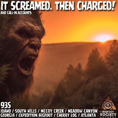 It Touched My Head Through the Tent! | Idaho It Touched My Head Through the Tent! | Idaho