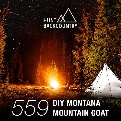 559 | DIY Mountain Goat Hunt in Montana