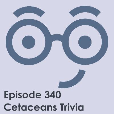 Cetacean Trivia Cetacean Trivia