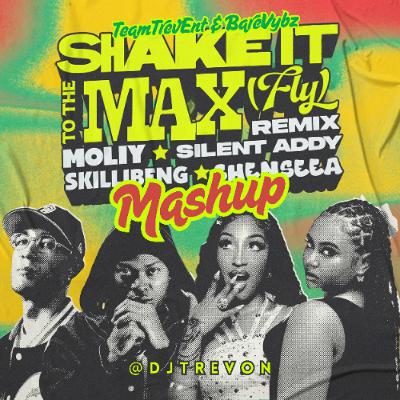 Shake It To The Max MashUp - DJ Trevon