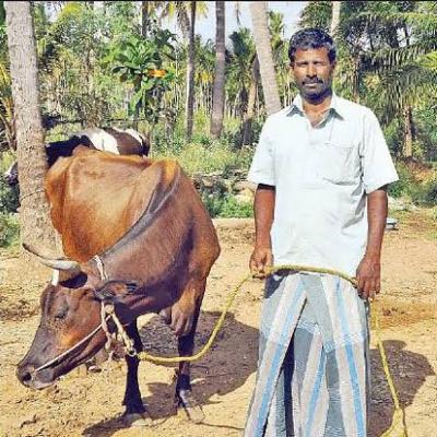 மனுஷி ( பாகம் 2 ) பிரபஞ்சன் அவர்களின் சிறுகதை. மனுஷி ( பாகம் 2 ) பிரபஞ்சன் அவர்களின் சிறுகதை.