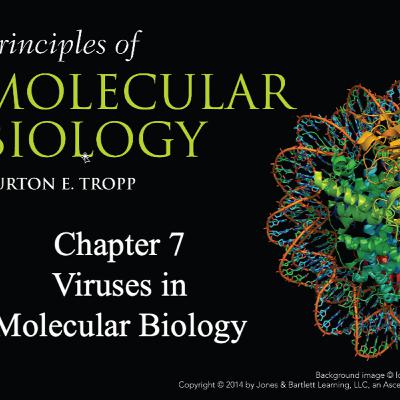 Viruses in Molecular Biology Tropp Chapter 7