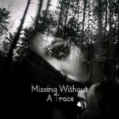Missing Without A Trace: From Morgan Nick's Legacy to Lisa Irwin’s Vanishing