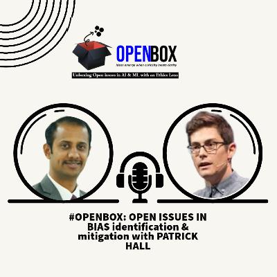 #openbox Bias identification and mitigation with Patrick Hall - Part 2 #openbox Bias identification and mitigation with Patrick Hall - Part 2