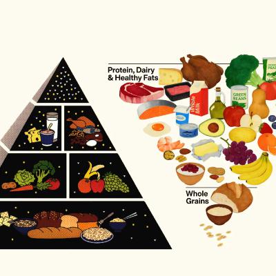 Fatter Than Ever! The New Food Guide Pyramid Has A Promising Future!