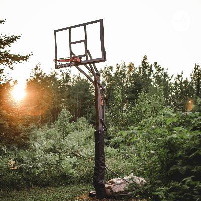 Comparison between MJ, Kobe and LeBron Comparison between MJ, Kobe and LeBron