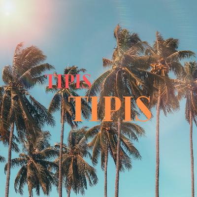 Urgensi Politik Islam