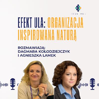 Efekt ula: Organizacja inspirowana naturą - rozmowa z Agnieszką Lamek