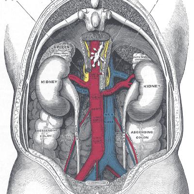 36. rész: A kiválasztás 36. rész: A kiválasztás