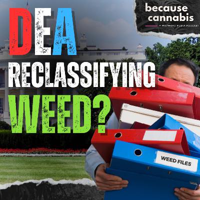 DEA Reschedules Cannabis?! | Breaking Down the Industry's Future DEA Reschedules Cannabis?! | Breaking Down the Industry's Future