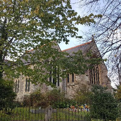 Pear Tree Church: From the Bishop of Winchester to the Life of Pi Pear Tree Church: From the Bishop of Winchester to the Life of Pi
