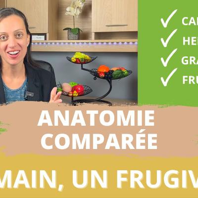 Anatomie comparée selon l’alimentation : L’humain est un frugivore!