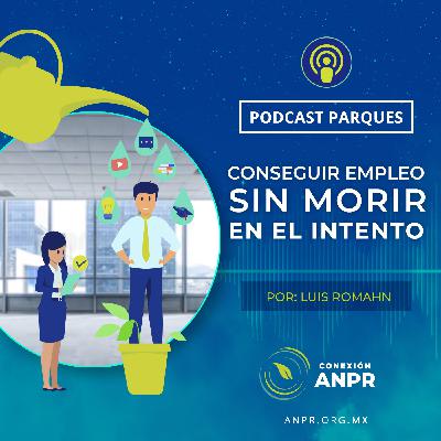 Cómo conseguir empleo, sin morir en el intento