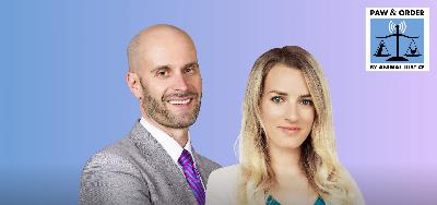 #75: Dog Abuse Cases Making Headlines