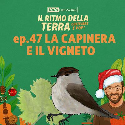La capinera e il vigneto - ep 47 - Il ritmo della terra, coltivare è pop!