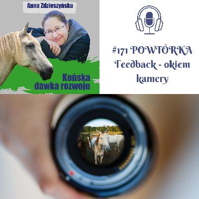 171 POWTÓRKA Feedback - okiem kamery