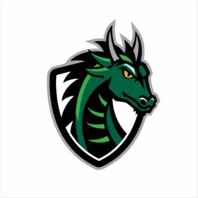 The Fights (SVHS Podcast Episode 4)