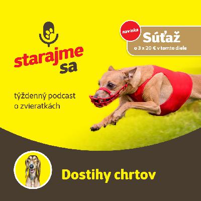 Psy: Dostihy chrtov Psy: Dostihy chrtov