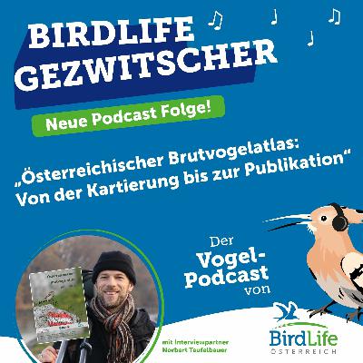 70. Österreichischer Brutvogelatlas: Von der Kartierung bis zur Publikation