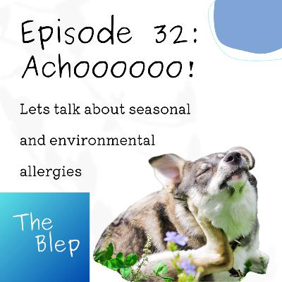Episode 32: ACHOOOO!
