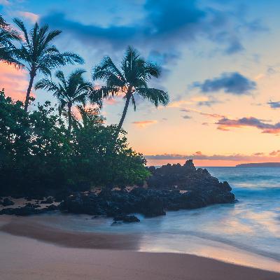 Studieberättelse från Hawaii Pacific University