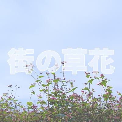 「赤ソバ」の花の形を知ってますか？｜018