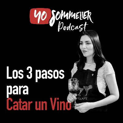 Los 3 pasos para Catar de Vino