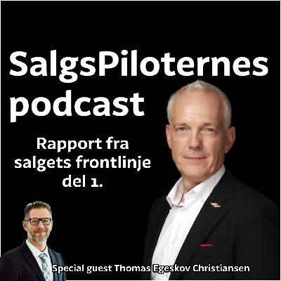 Rapport fra salgets frontlinje - del 1.