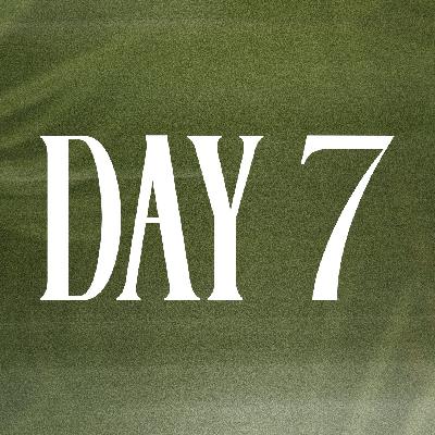 Day 7