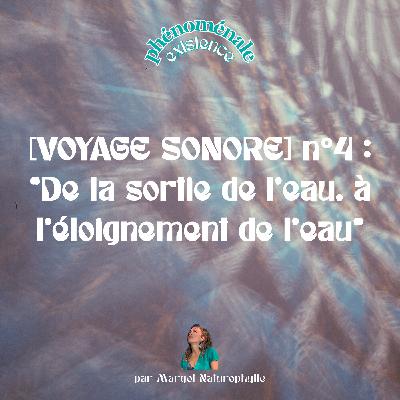 [VOYAGE SONORE] n°4 : De la sortie de l’eau, à l’éloignement de l’eau. Aux prémices de la vie terrestre