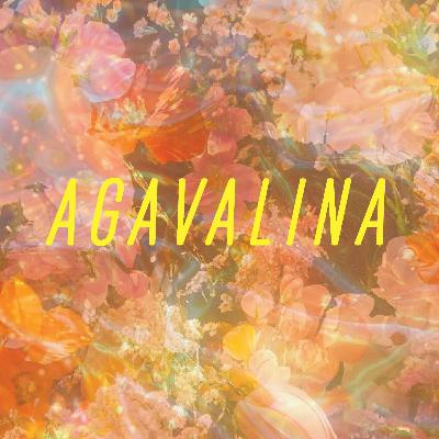 Agavalina : une avalanche sucré Agavalina : une avalanche sucré