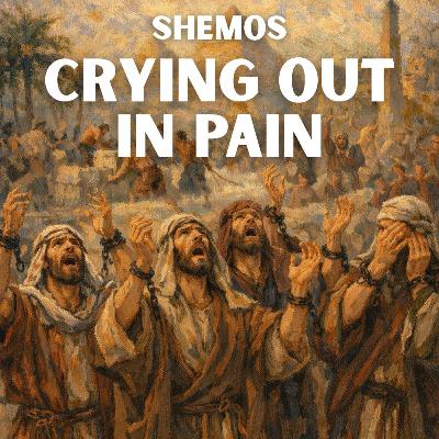 Shemos - Crying Out In Pain