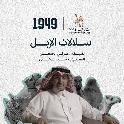 توصية | سلالات الإبل