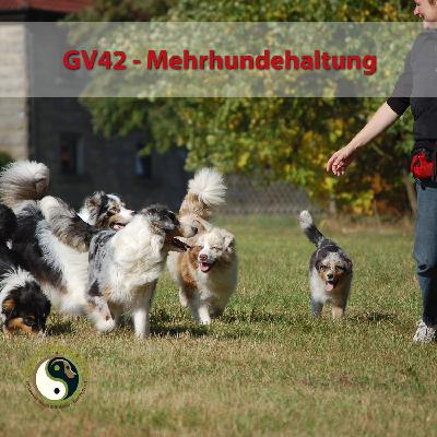 GV 42_Mehrhundehaltung