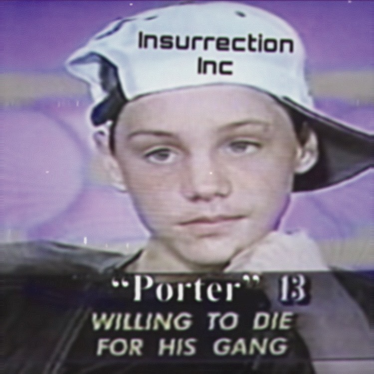 Insurrection Inc
