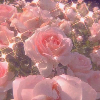 La Vie en Rose (cover by Chloe Moriondo)