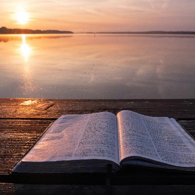 Begegnungen mit dem Fremden. Die Bibel als Lese- und Lebensbuch. Begegnungen mit dem Fremden. Die Bibel als Lese- und Lebensbuch.