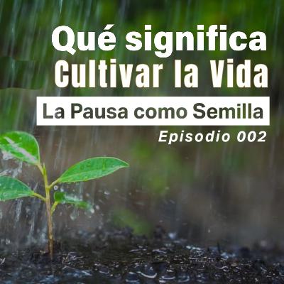 002 - Qué significa cultivar la vida: La pausa como semilla
