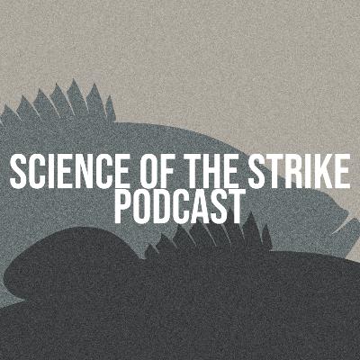 Episode 11: Water Levels and Current