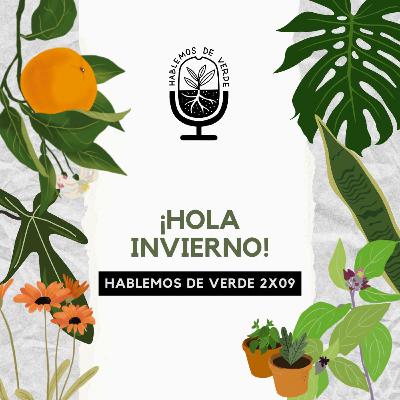 Hola, Invierno | 2x09 | Hablemos de verde