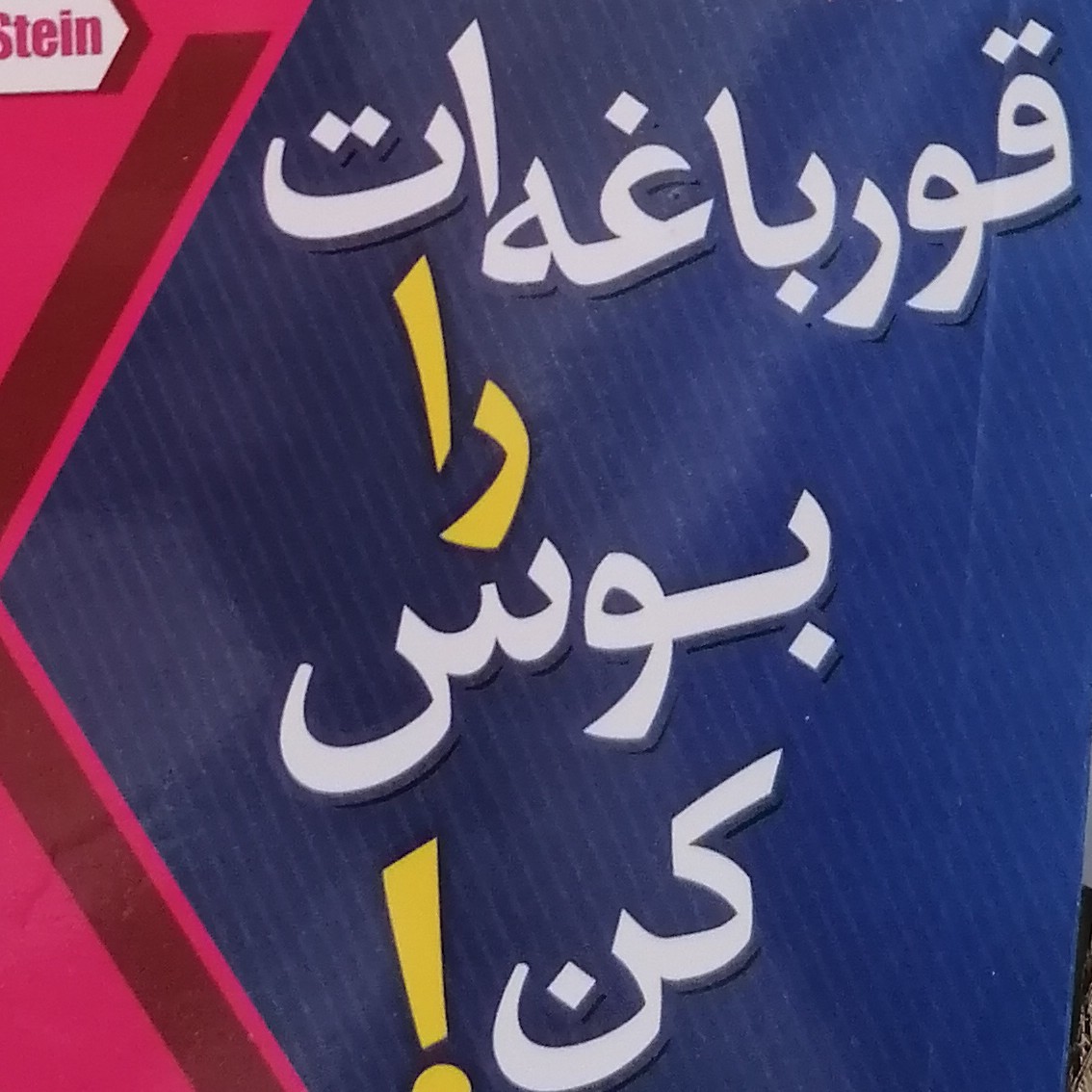 فصل سوم (قورباغه ات را بوس کن ! )