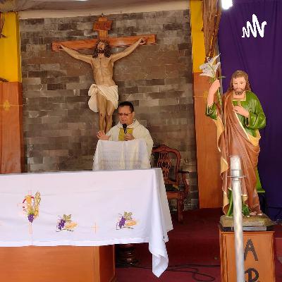 Homilía infantil del padre Alito V Domingo de Cuaresma