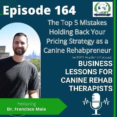 The Top 5 Mistakes Holding Back Your Pricing Strategy as a Canine Rehabpreneur The Top 5 Mistakes Holding Back Your Pricing Strategy as a Canine Rehabpreneur
