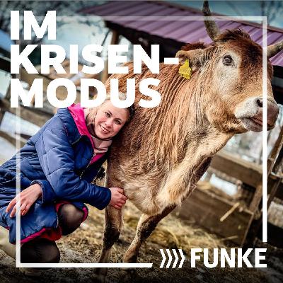 Die Leopardin, der Krieg und die Tierretter in Charkiw Die Leopardin, der Krieg und die Tierretter in Charkiw