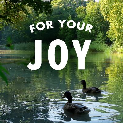 For Your Joy For Your Joy