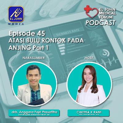 Ep 45 Atasi Bulu Rontok Pada Anjing Part 1