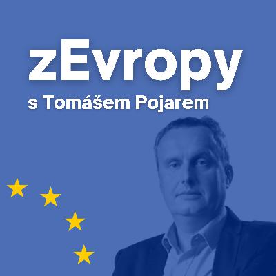 Evropská rada pohledem českého šerpy