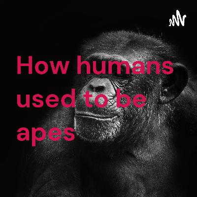 How humans used to be apes
